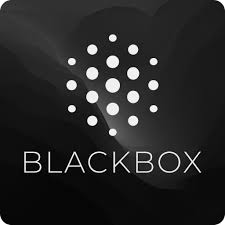 BlackBox AI